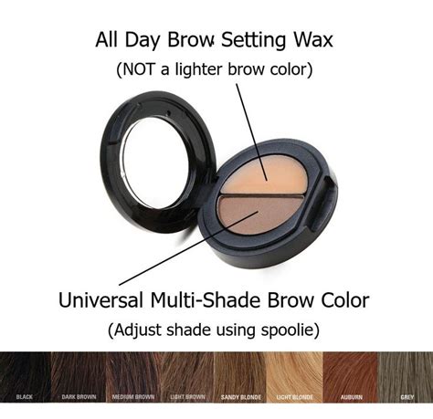 highest rated eyebrow makeup.